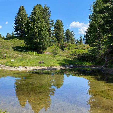 Apartmán Landhaus Rieder Im Zillertal Aschau Im Zillertal Exteriér fotografie